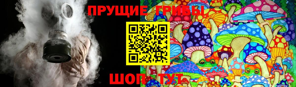 Псилоцибиновые грибы Cubensis  Вход с VPN  Слободской 